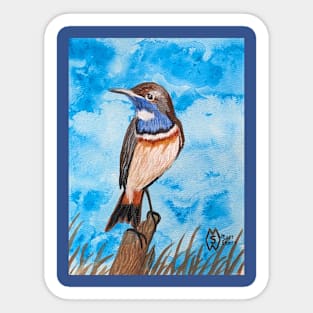 Bluethroat in the brushy habitat of the tundra Sticker